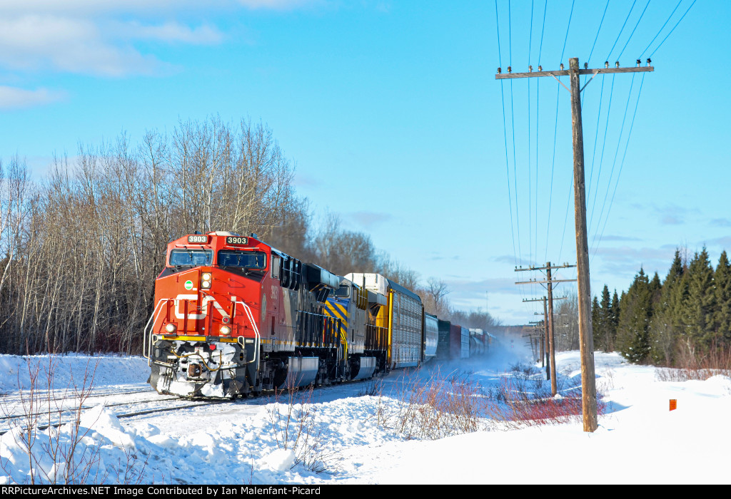 CN 3903 leads 306 at C.N.R Road